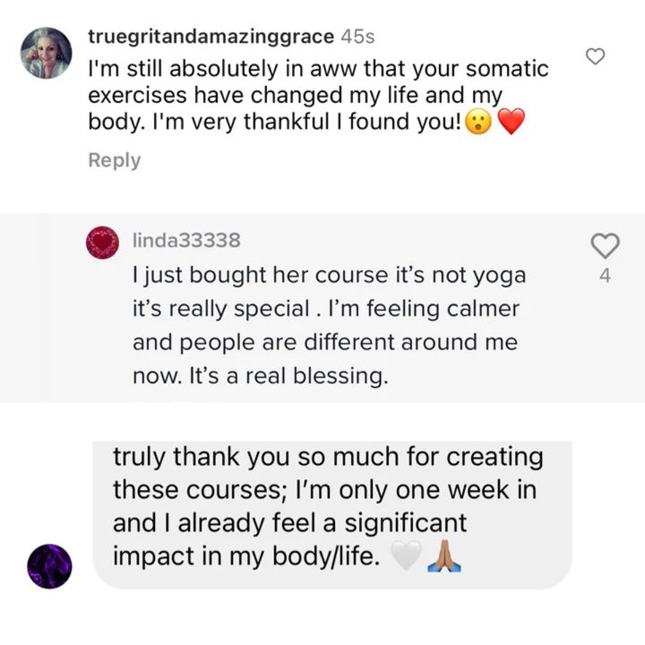 Heal Your Nervous System With The 3 Course Bundle