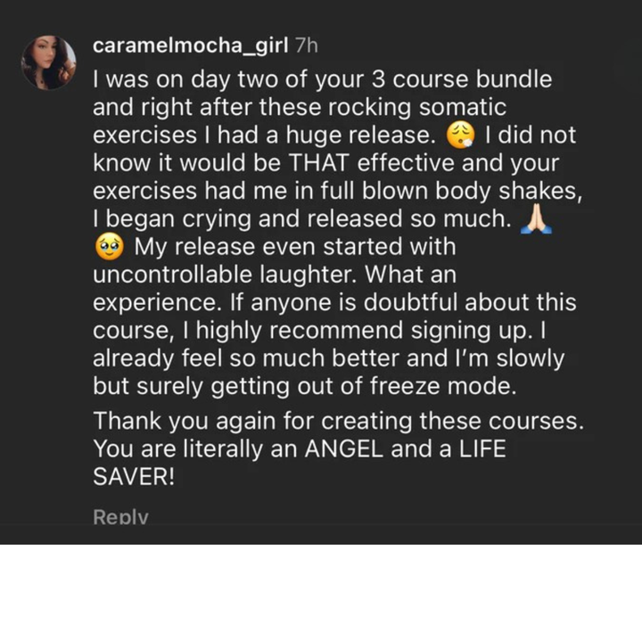 Heal Your Nervous System With The 3 Course Bundle