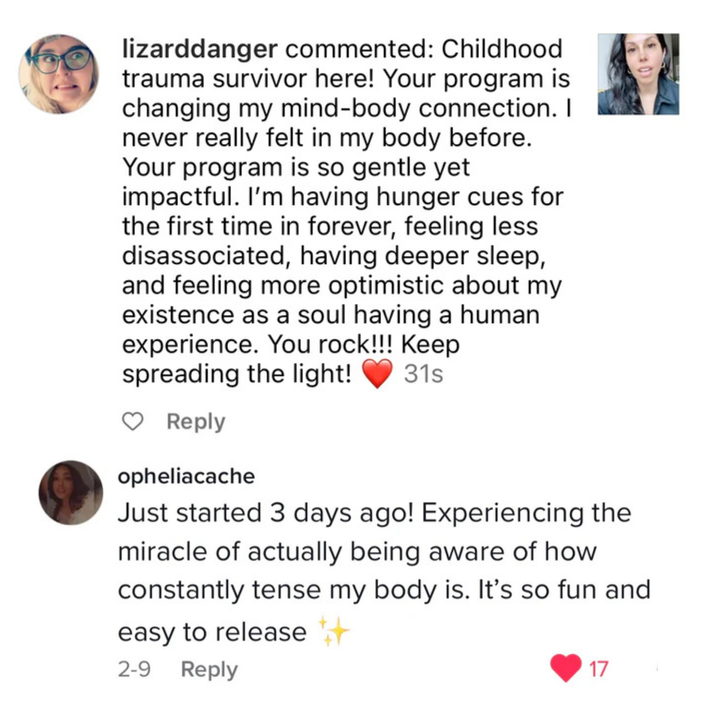 From Pain To Power with The 5 Course Bundle