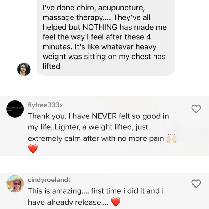 Heal Your Nervous System With The 3 Course Bundle