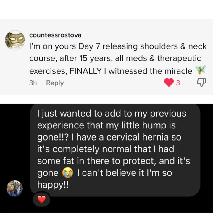 From Pain To Power with The 5 Course Bundle