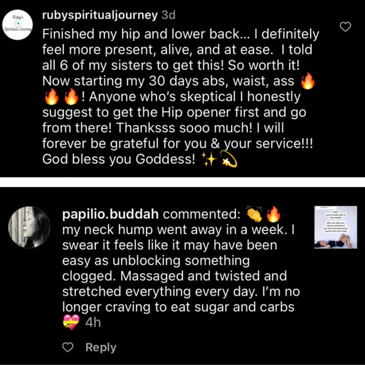 From Pain To Power with The 5 Course Bundle