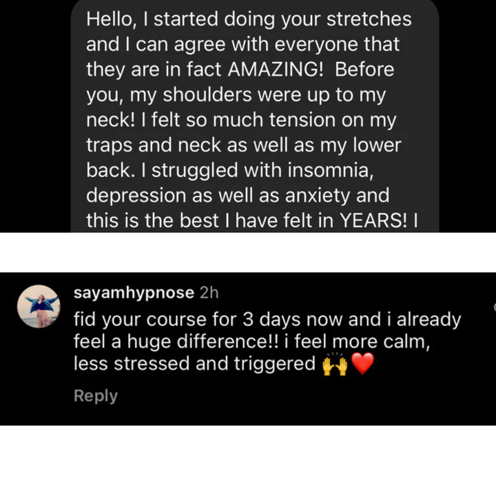 From Pain To Power with The 5 Course Bundle