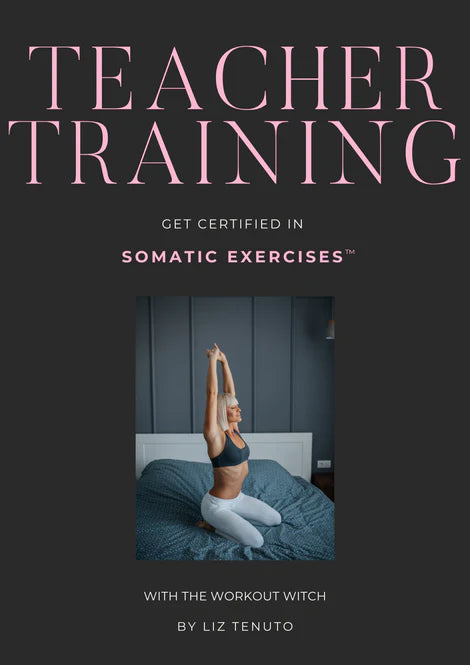 Teacher Training Program