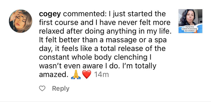 Whole body stress relief client review. 