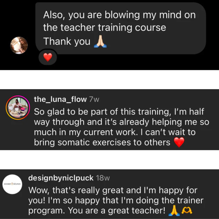 Teacher Training Program