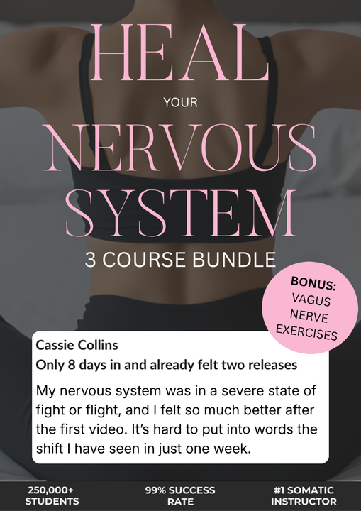 Heal Your Nervous System With The 3 Course Bundle