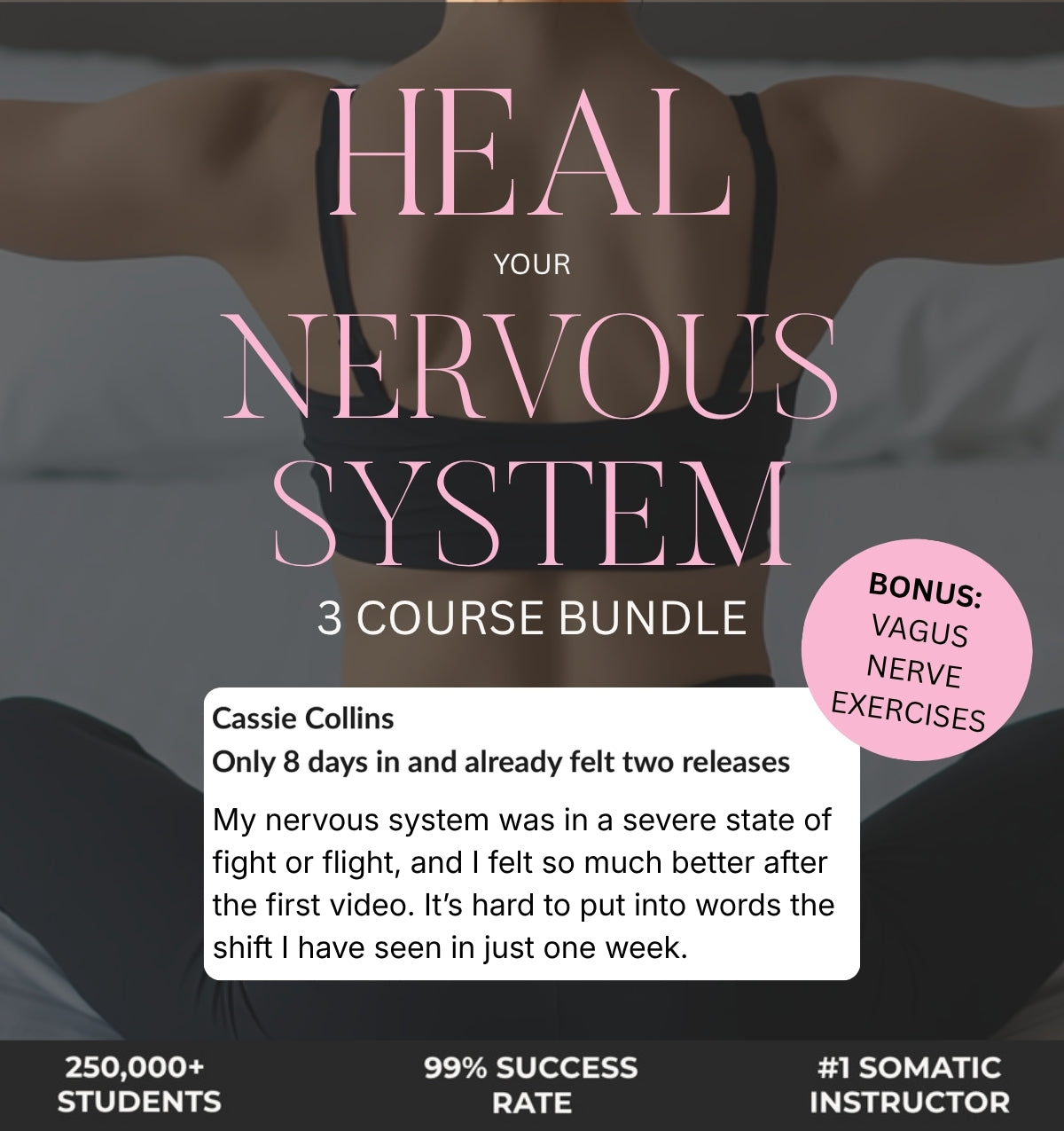 Heal Your Nervous System With The 3 Course Bundle