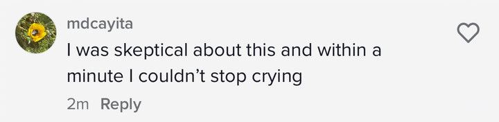 Heal your nervous system course bundle review.